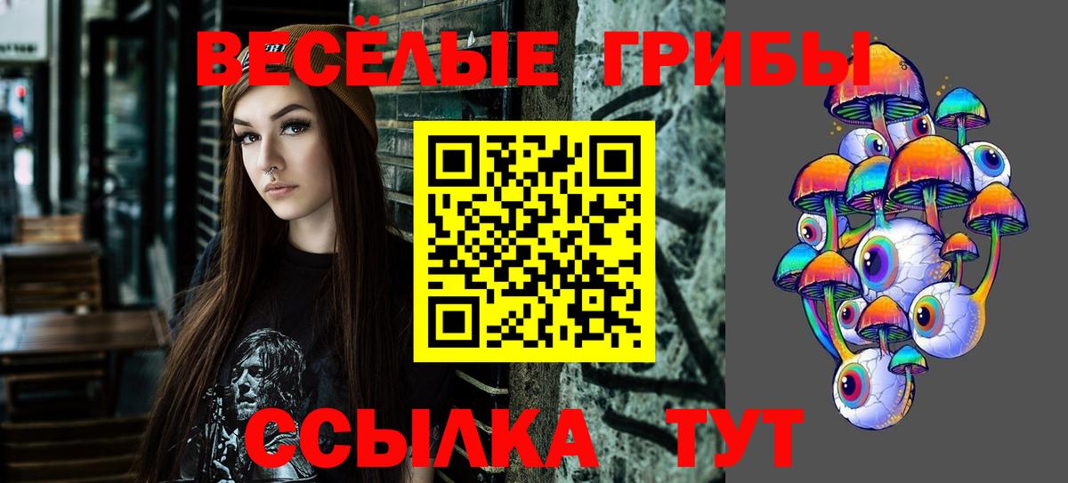 Псилоцибиновые грибы ЛСД  купить наркотик  Галлюциногенные грибы прущие грибы  Мелеуз  Вход с VPN 